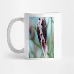 Crocus  'Spring Beauty' Mug